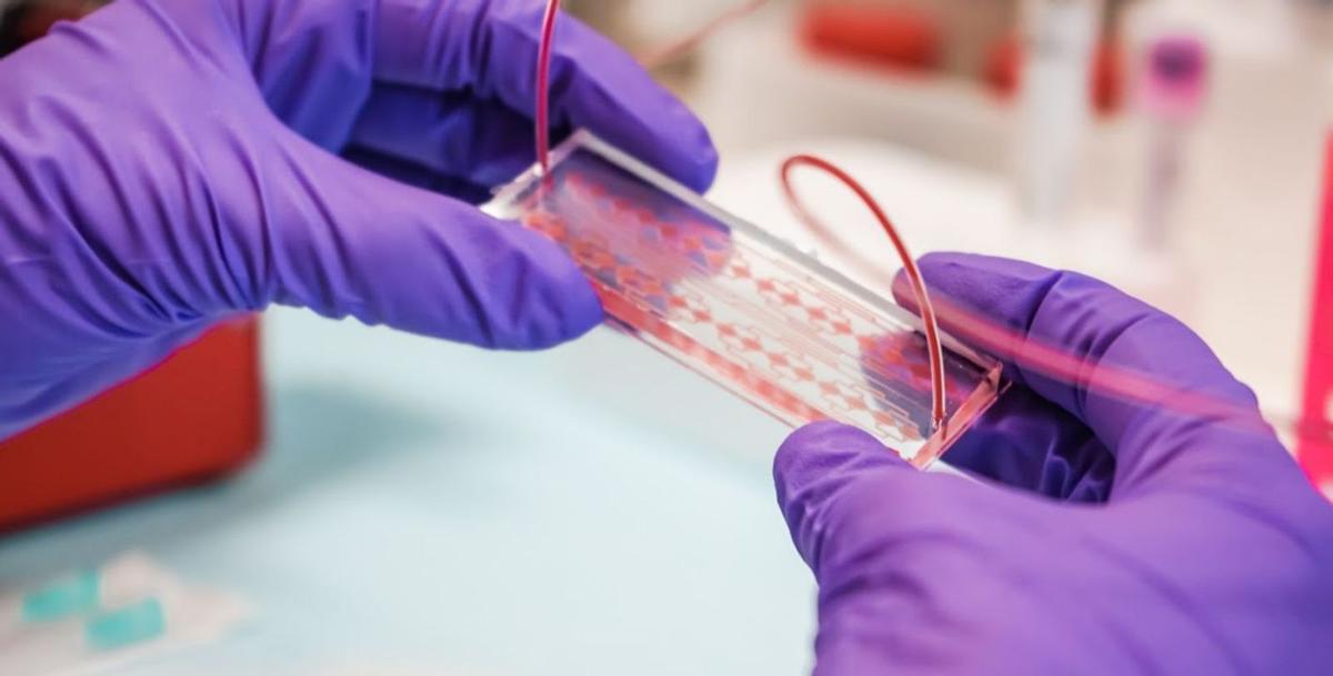 Un técnico de laboratorio, con un dispositivo de biopsia líquida.