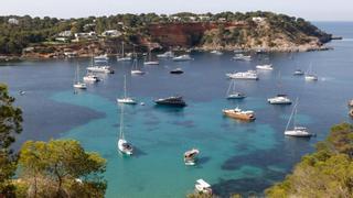 Las actuaciones contra el fondeo sobre la pradera de posidonia en Ibiza aumentan un 74,9%