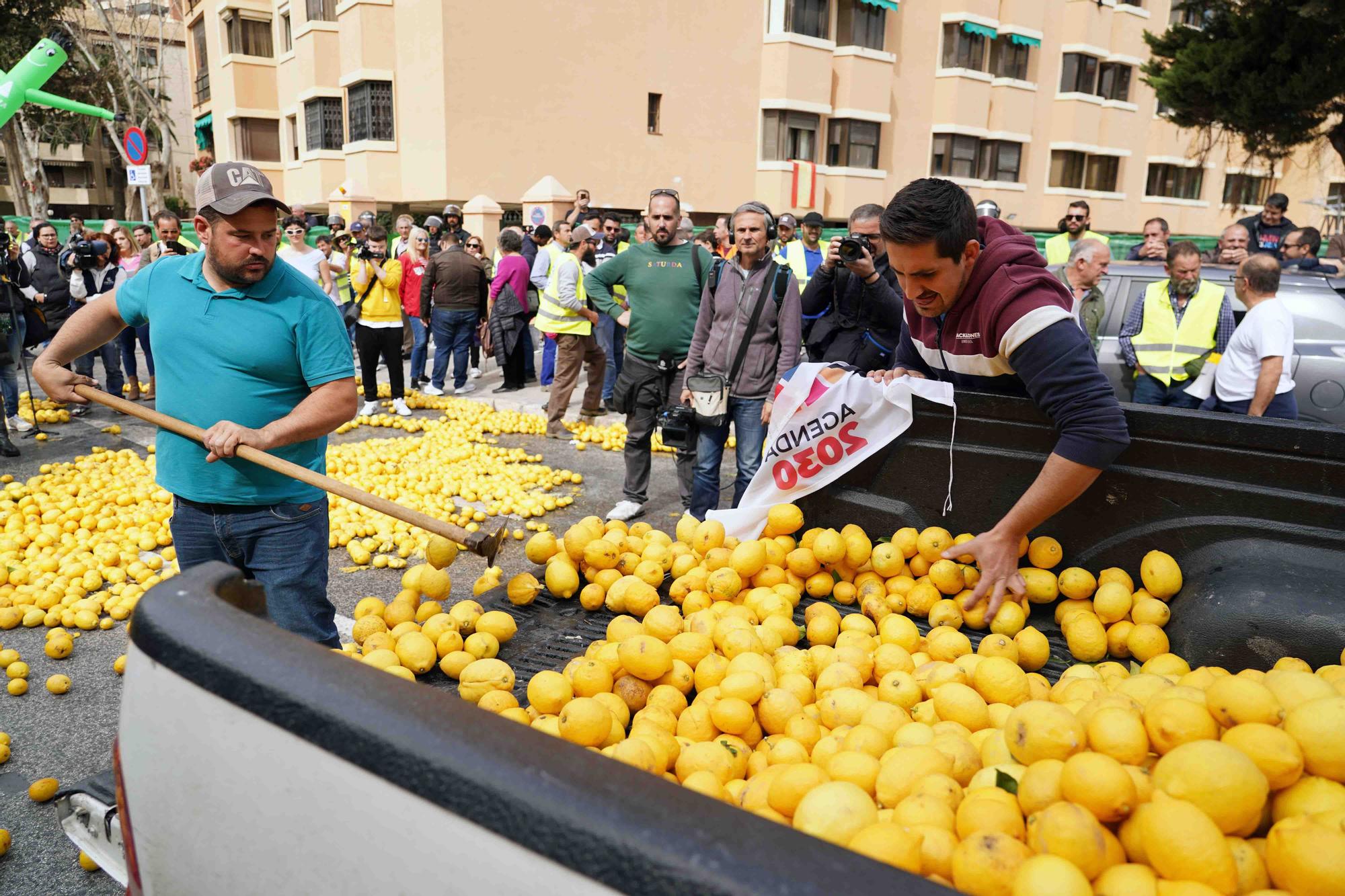 Concentración de agricultores en las puertas de la Subdelegación de Gobierno de Málaga, en el Paseo de Sancha.