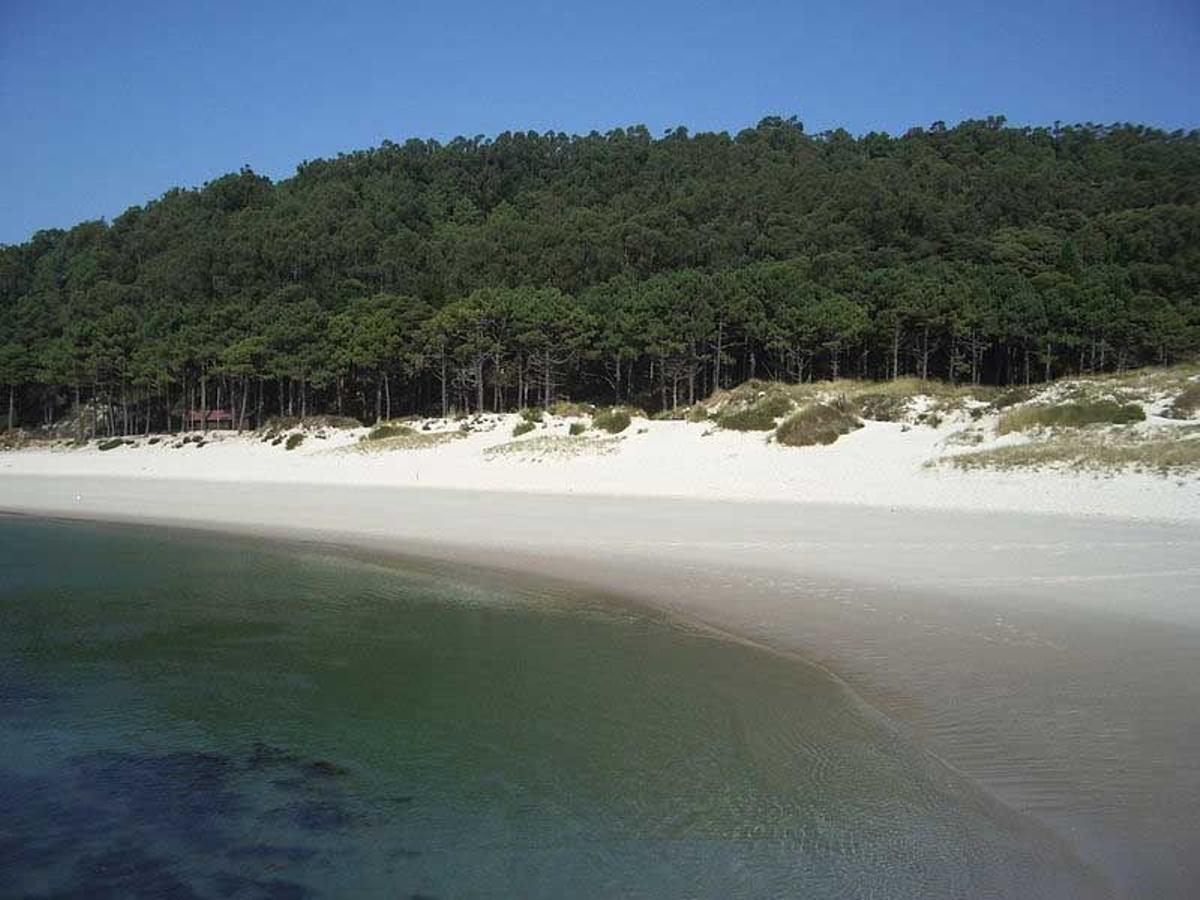 Praia das Rodas (Islas Cíes)