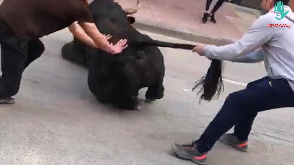 Las imágenes de sufrimiento de un toro, el 16 de mayo durante un ’bou al carrer’ en Vila-real.