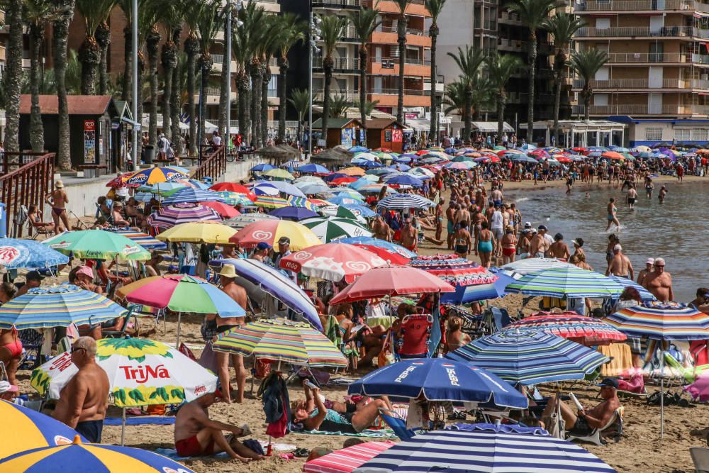 El buen tiempo y las buenas condiciones marítimas siguen animando a pasar la jornada en la playa pese a que desde hace tres semanas no hay servicio de socorrismo en Torrevieja