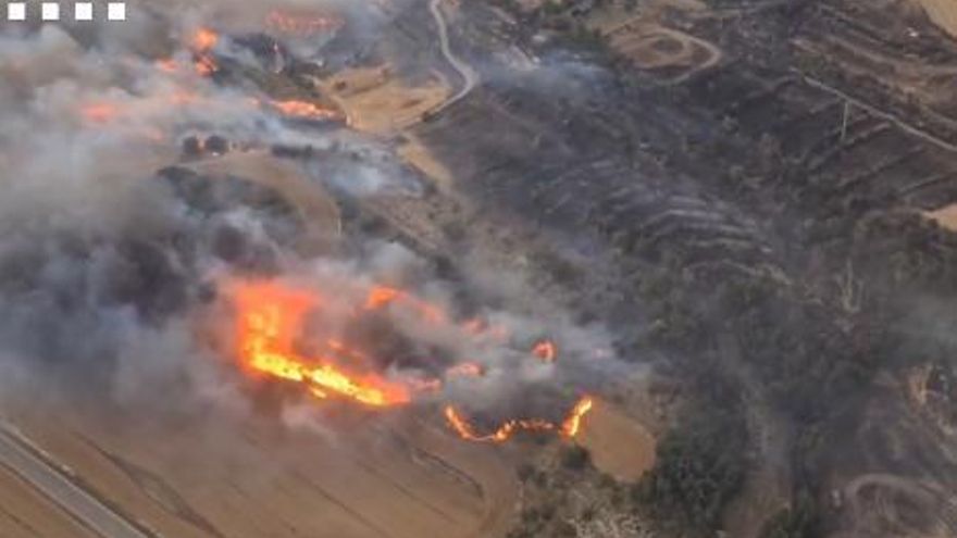 Incendio forestal en la Segarra