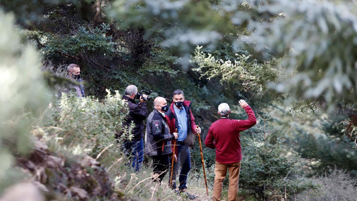 El presidente Sánchez visita la Sierra de las Nieves