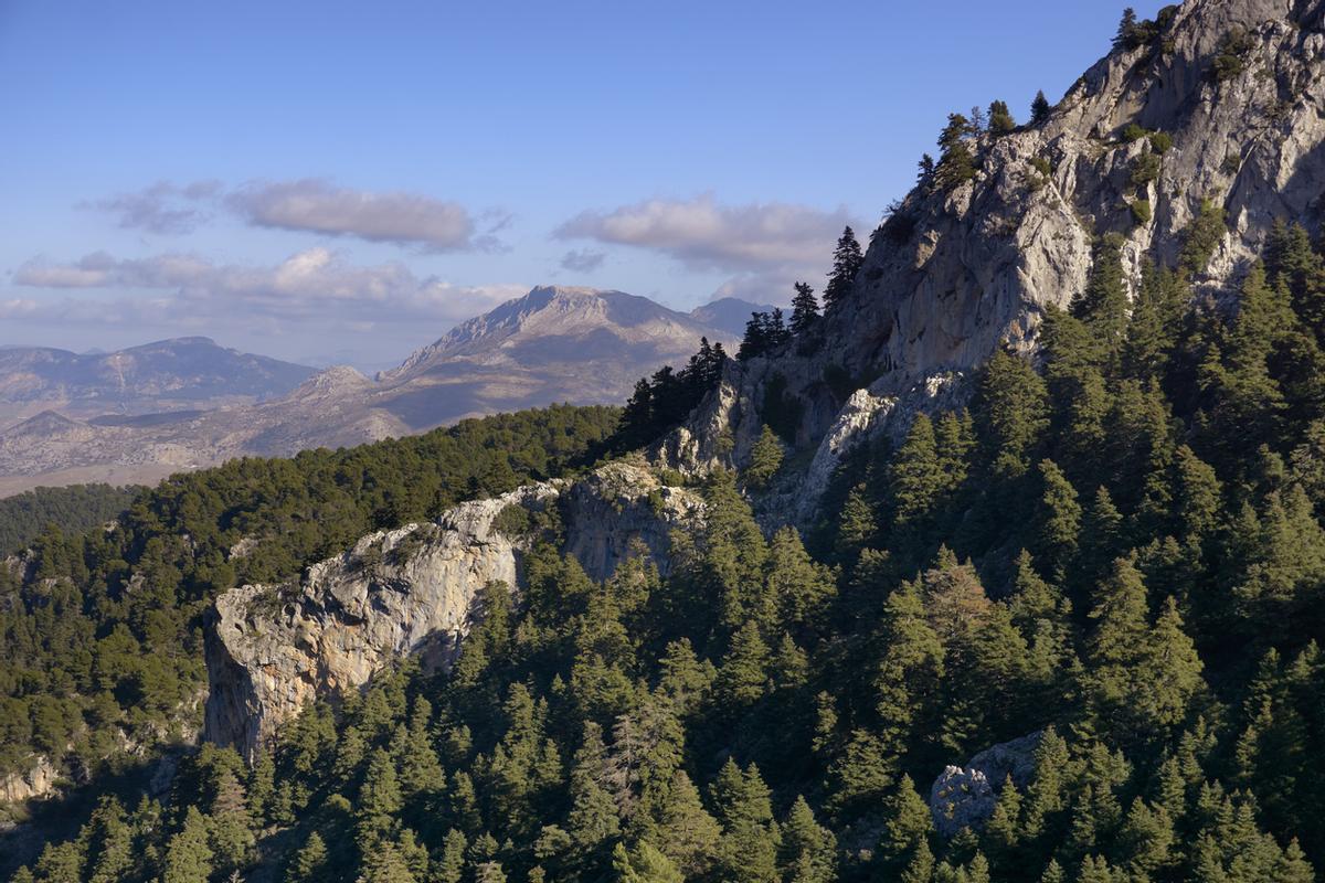El Parque Nacional de la Sierra de las Nieves