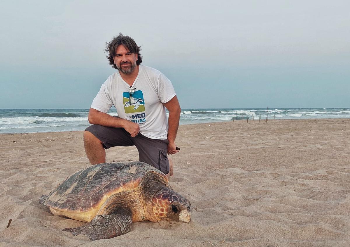 Jesús Tomás, investigador de la Universitat de València y experto en tortugas marinas