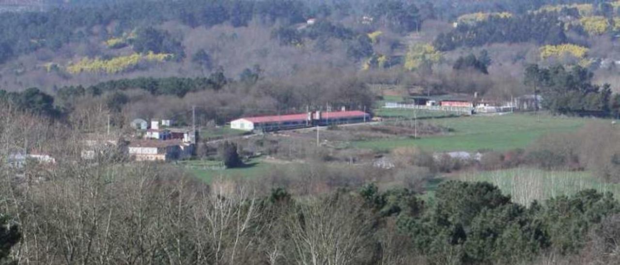 Castro de San Cibrán de Lás. // I. Osorio