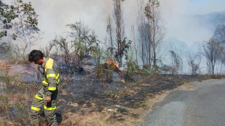 Un agente forestal en las labores de extinción ayer en el fuego de Fornelos (Toiriz).