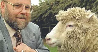 'Dolly', la oveja que sigue siendo 'superstar' 25 años después
