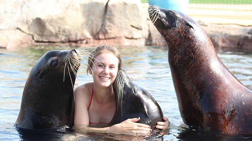 Terapias asistidas con leones marinos.