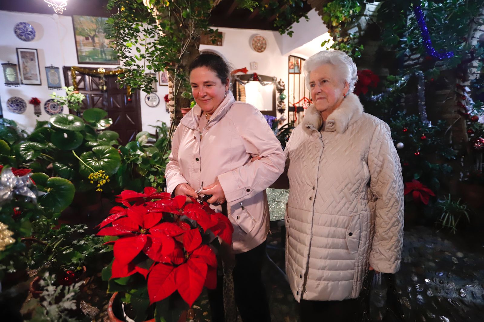 Los patios abren por Navidad pese a la lluvia