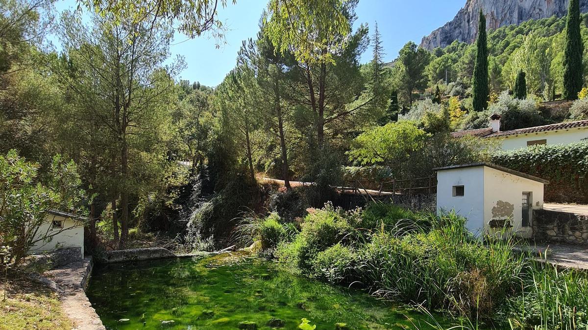 Font del Baladre (Muro de Alcoy)