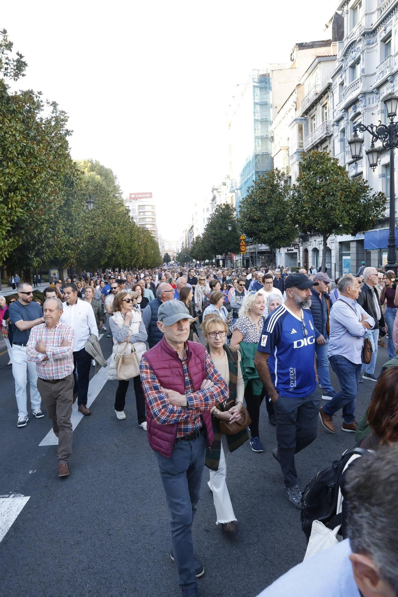 EN IMÁGENES: así fue la gran movilización contra el peaje del Huerna en Asturias