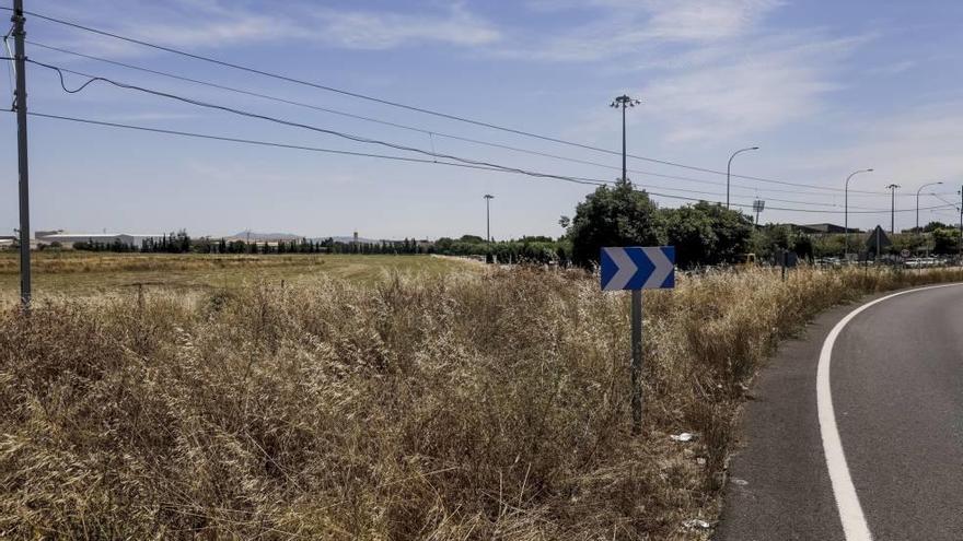 Imagen del descampado donde fue hallada la joven ayer por la mañana, entre el polideportivo de Son Hugo y el hipódromo de Son Pardo.