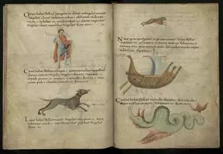La odisea del libro más antiguo de la Biblioteca Nacional: fue clave para organizar las fiestas religiosas