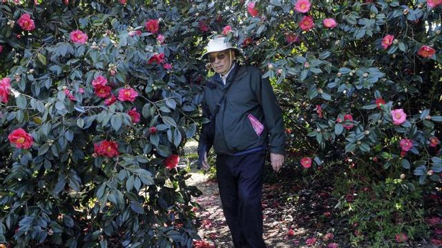 Un hombre recorre el jardín del pazo de A Saleta.