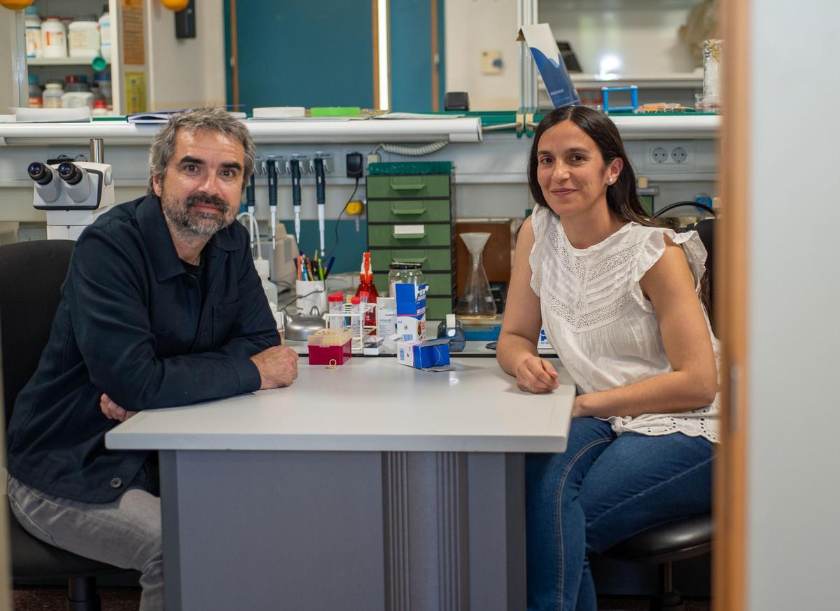 Los investigadores inmersos en el proyecto del Instituto de Neurociencias