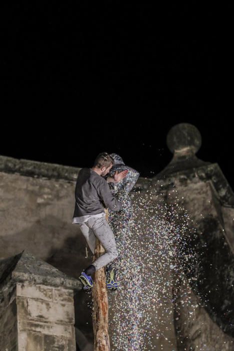 Fiestas de Sant Antoni: Pi de Pollença