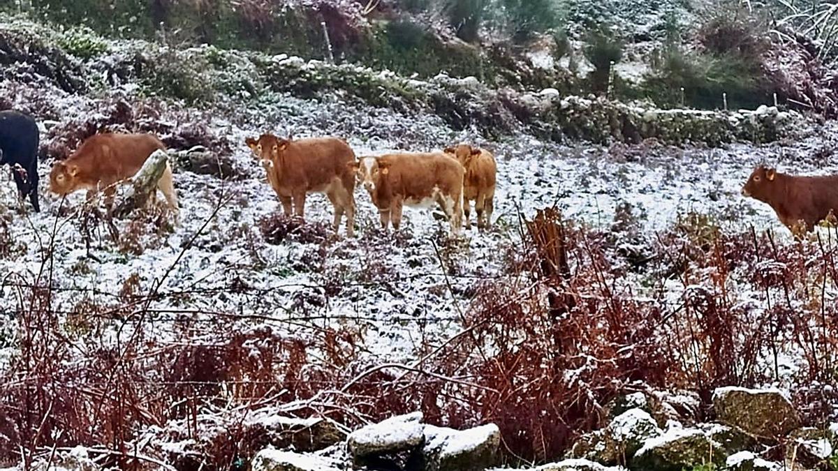 Primeras nevadas del otoño en A Lama y Ponte Caldelas | R.V.