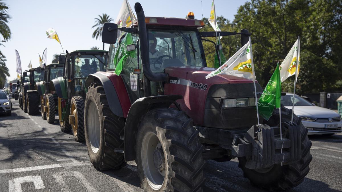 Un  millar de coches y una treintena de tractores han recorrido las calles de Sevilla.