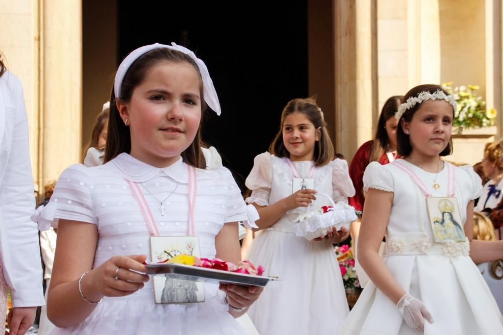 Festes de Sant Pasqual en Vila-real 2016