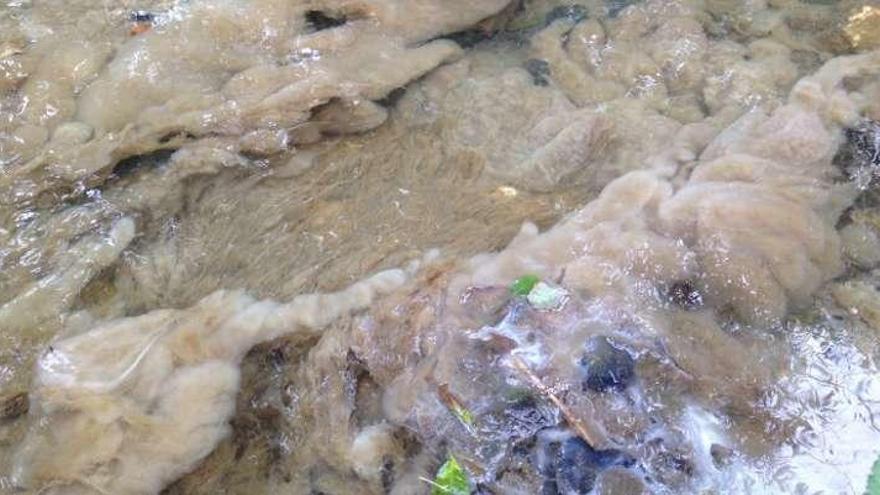 Aspecto del vertido al río Barayo denunciado por la Coordinadora Ecoloxista.