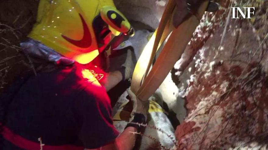 Los bomberos de Elche rescatan a una oveja atrapada en un barranco