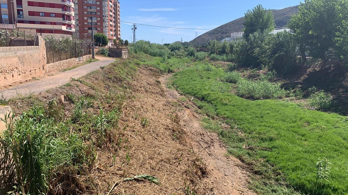 El río Vaca de Tavernes, ya sin cañas