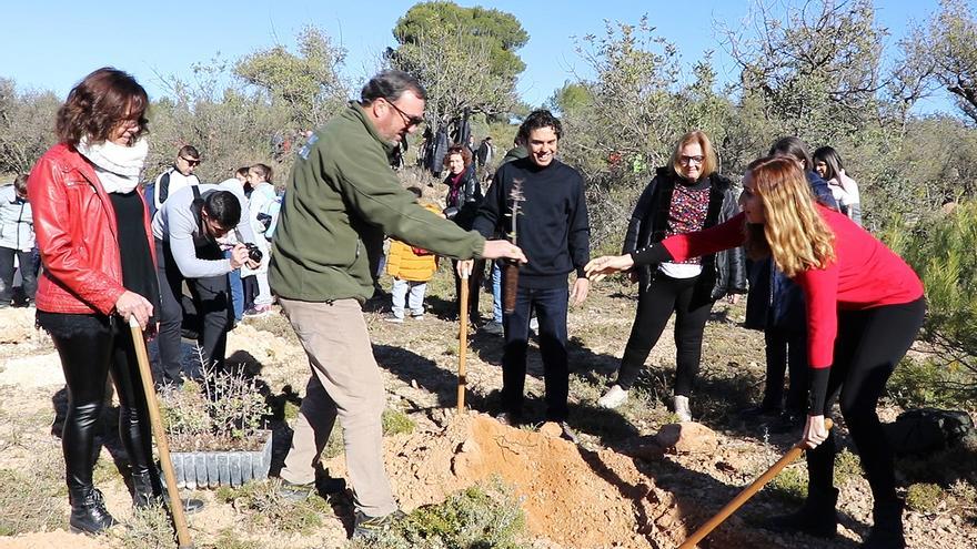 Llíria acoge una de las acciones centrales de la celebración del Día del Árbol en la Comunitat Valenciana