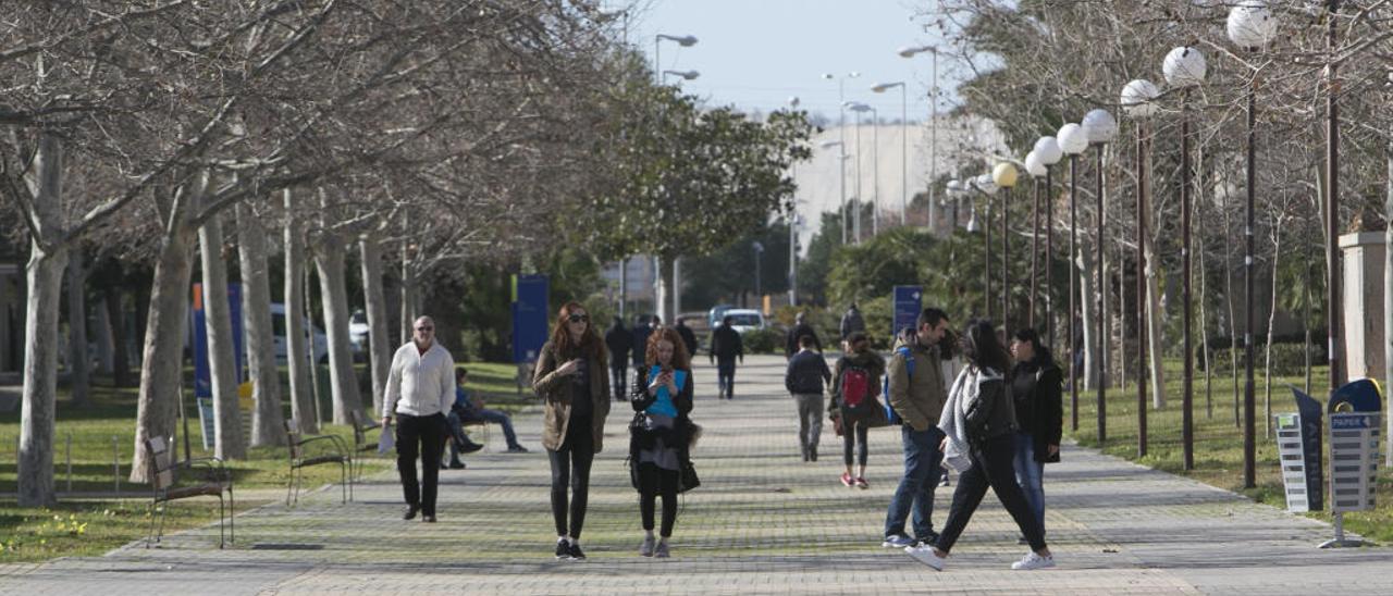 La UA y la UMH se sitúan entre las 900 mejores universidades del mundo