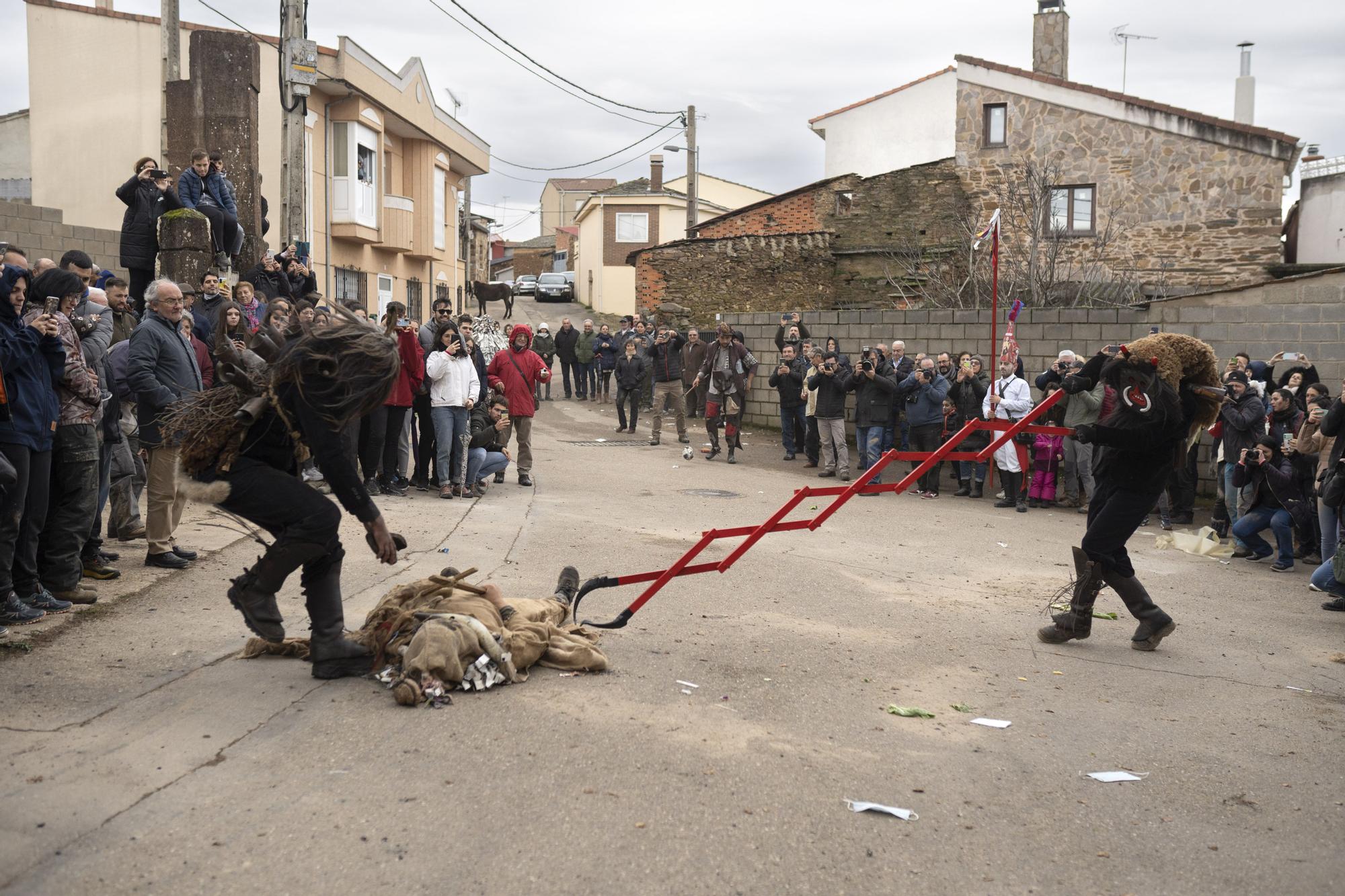 GALERÍA |  Los Carochos recorren las calles de Riofrío de Aliste