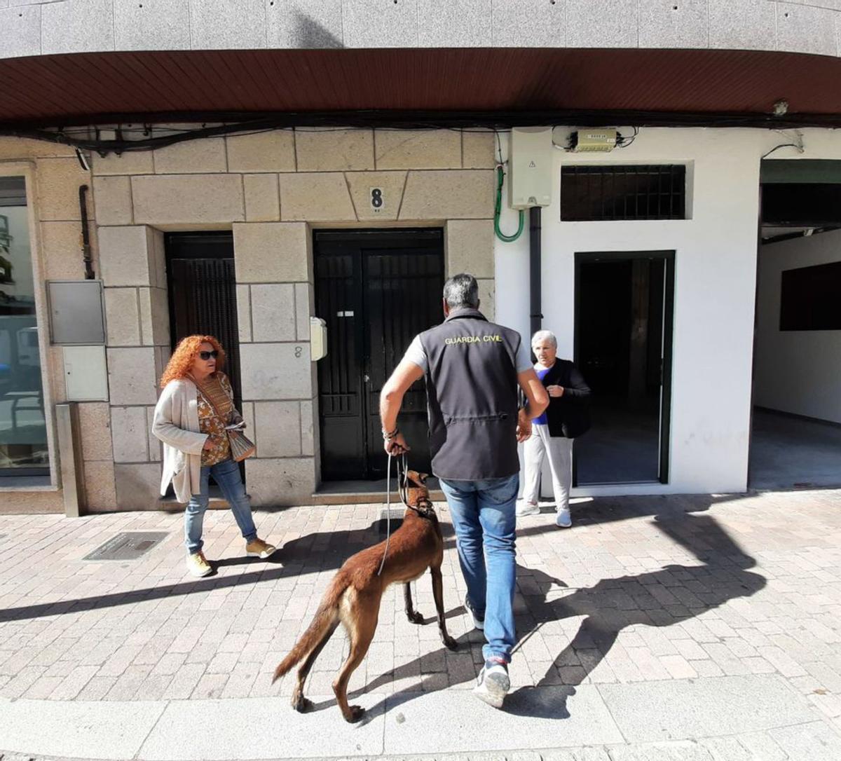 Un agente entra con un perro adiestrado al registro en Johan Carballeira. |