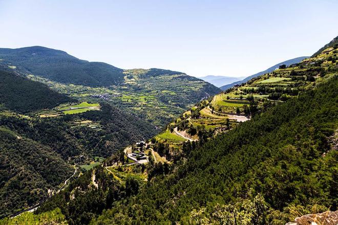 Las bodegas andorranas cosechas sus uvas a más de 12000 metros de altura