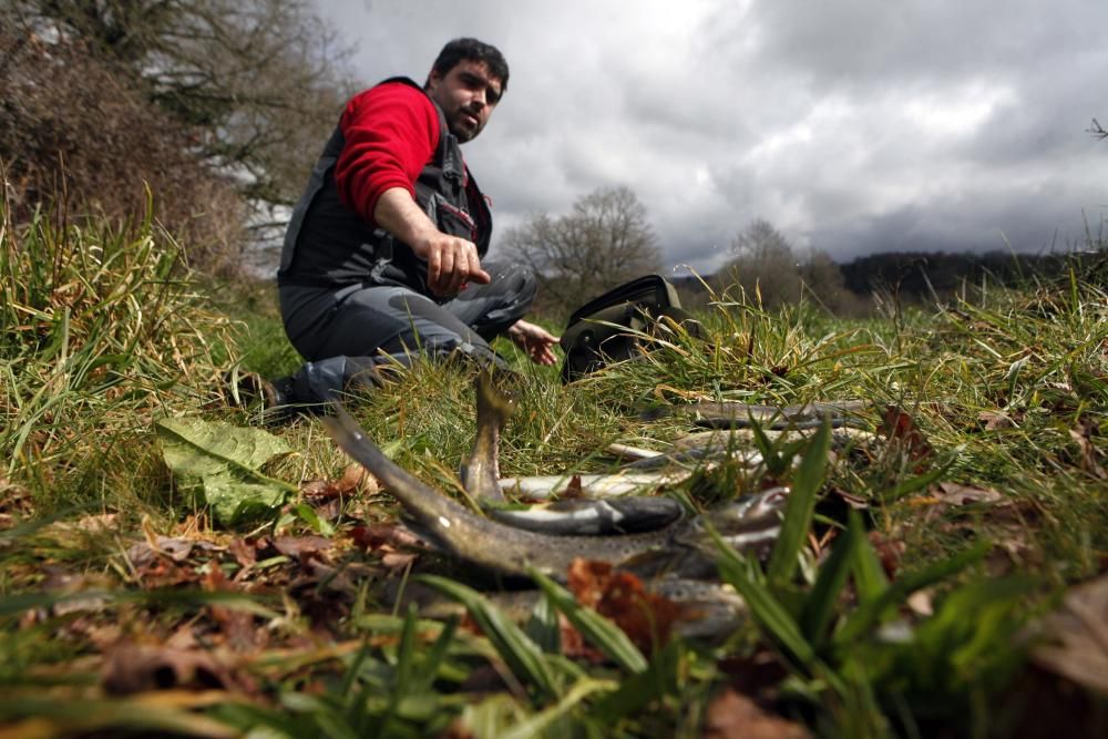 El mal tiempo enturbia la pesca en los ríos de Deza