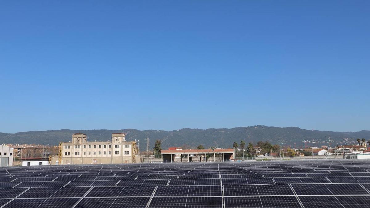 Placas solares en las instalaciones de una empresa cordobesa.