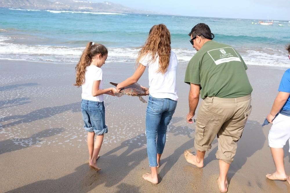 Suelta de una tortuga boba en Las Canteras