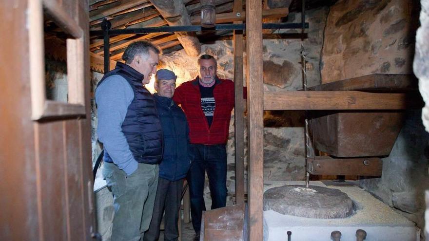 Tres de los asistentes a la molienda tradicional, en el interior del molín del Navaliegu.