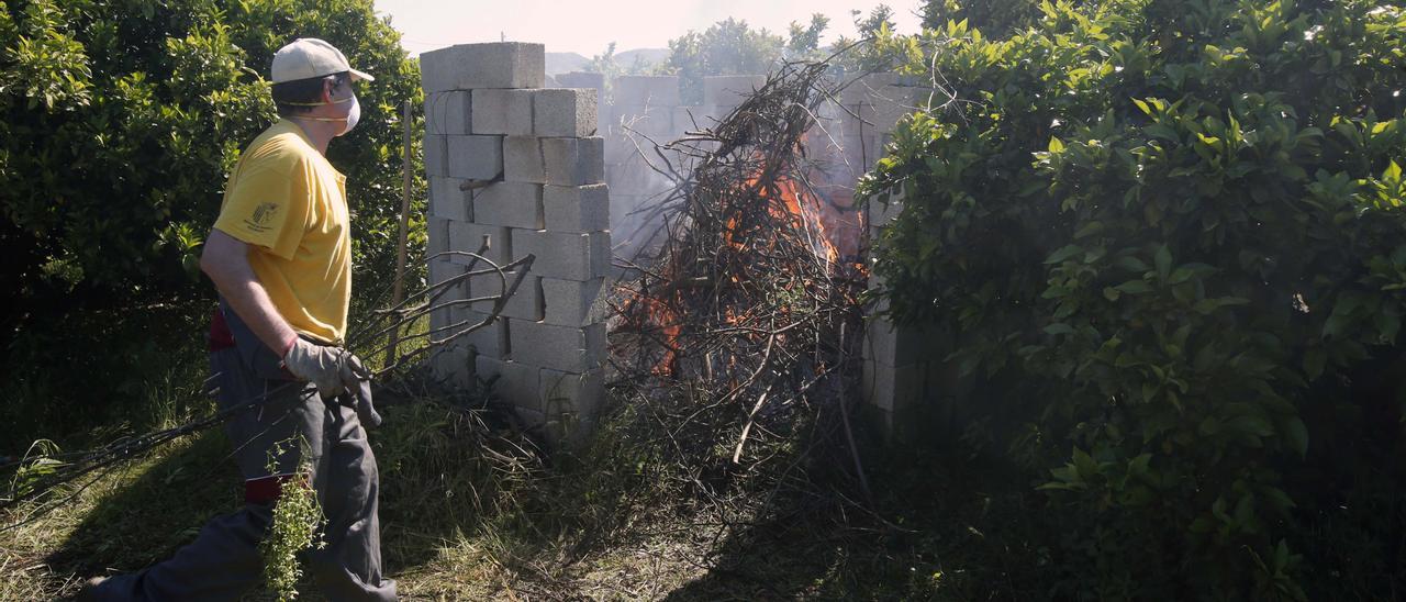 Un agricultor quema restos de poda en un espacio habilitado en su finca, una práctica ahora prohibida.