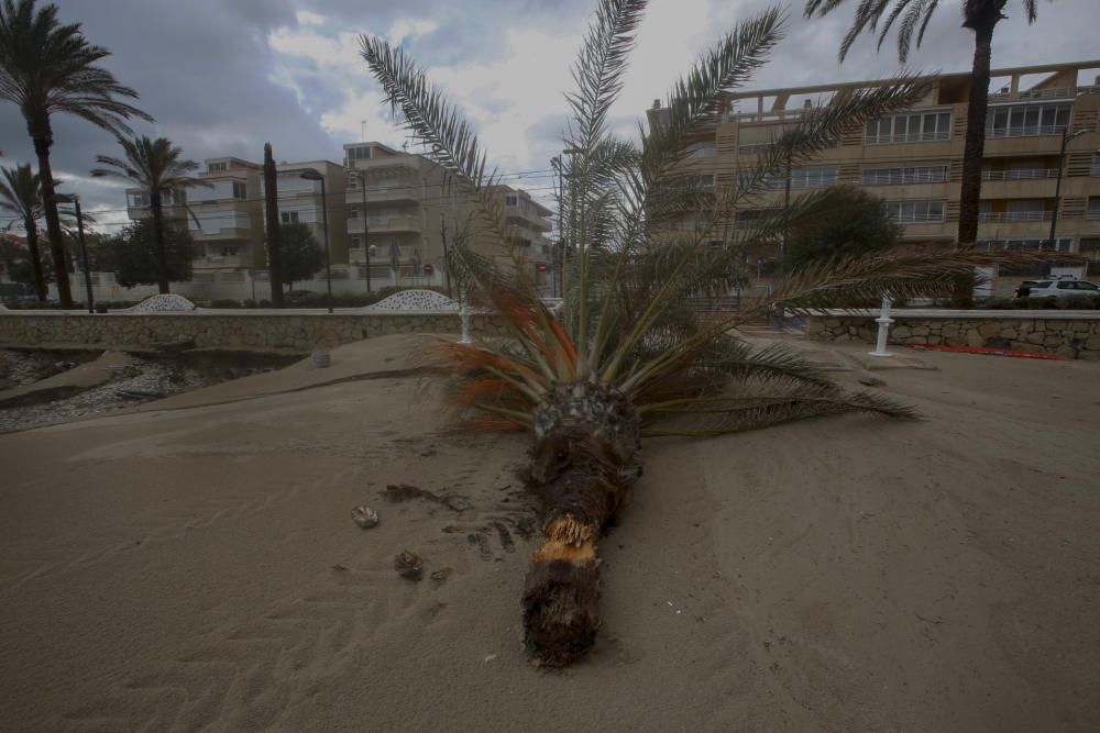 Fuertes lluvias en Alicante