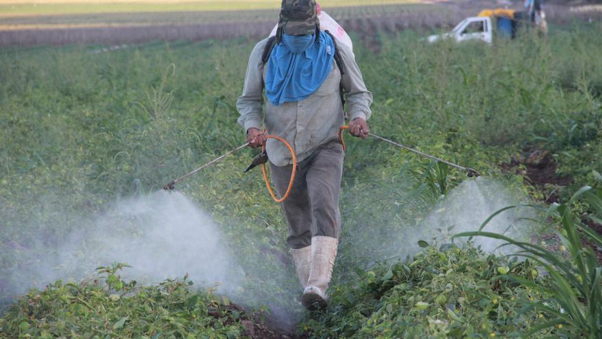 La batalla contra el pesticida glifosato continúa: piden que se anule la prórroga concedida