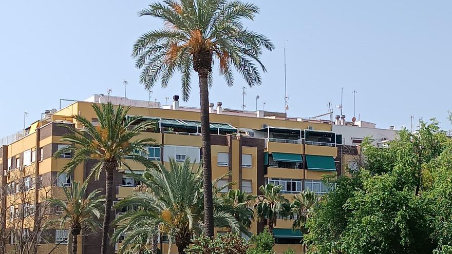 El PSOE denuncia la mayor subida del IBI en la historia de Molina de Segura