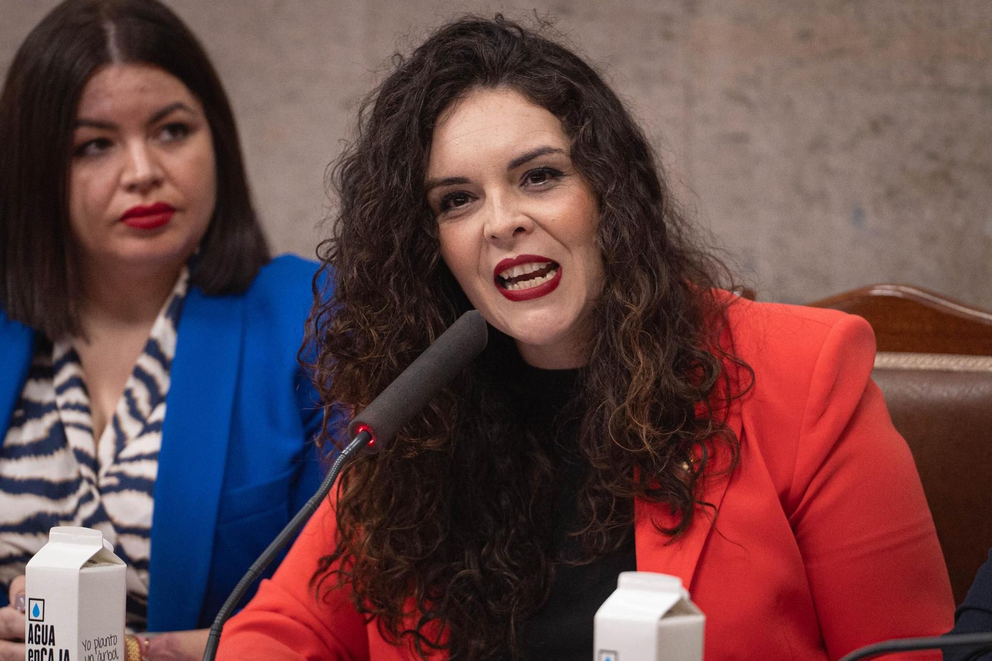 Moción de censura en Granadilla de Abona