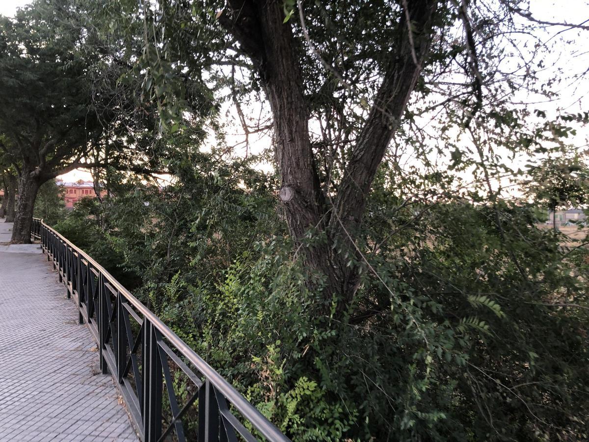 Fotogalería | El zonche de los Villegas en Cáceres