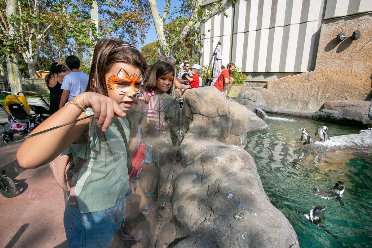 Fiesta solidaria de EL PERIÓDICO en favor de Aprenem Autisme en el Zoo de Barcelona