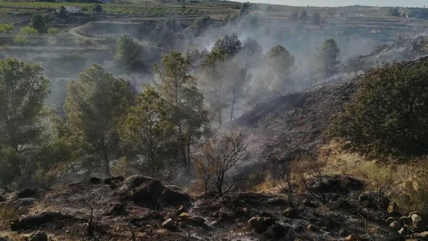 Tres hectáreas calcinadas en el Barranco del Zorro