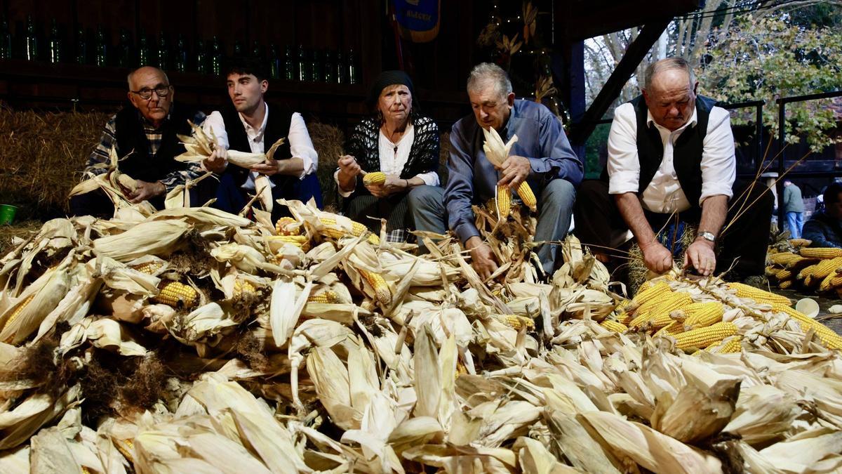 El grupo "La Alegría" de Porceyo retoma una tradición con una esfoyaza multitudinaria: "Ha sido un éxito"