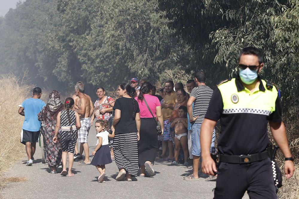 Incendio en el Camino de Carbonell junto a un asentamiento