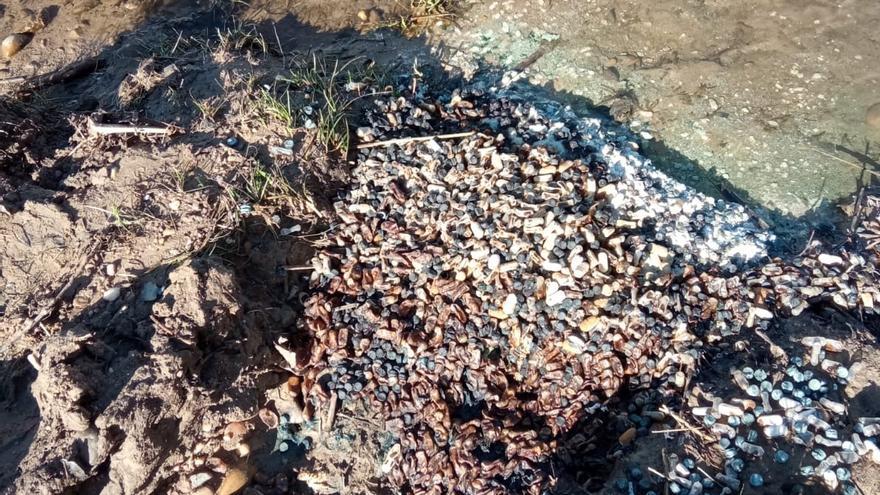 Pastillas depositadas junto al cauce del río Duero en Toro