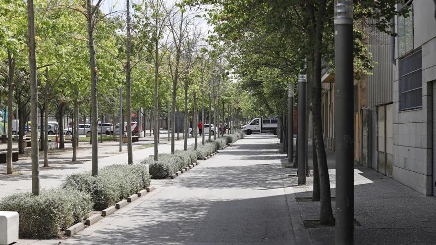 Talaran un total de 147 arbres morts repartits en diferents llocs de Girona