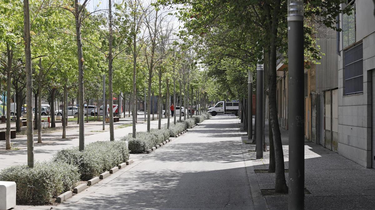 Al carrer de Manel Viñas es talaran vint arbres.